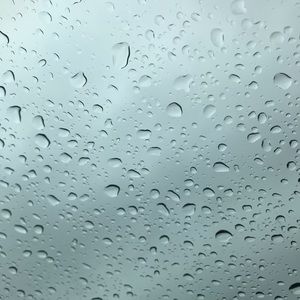 Meet your Posher, Celia